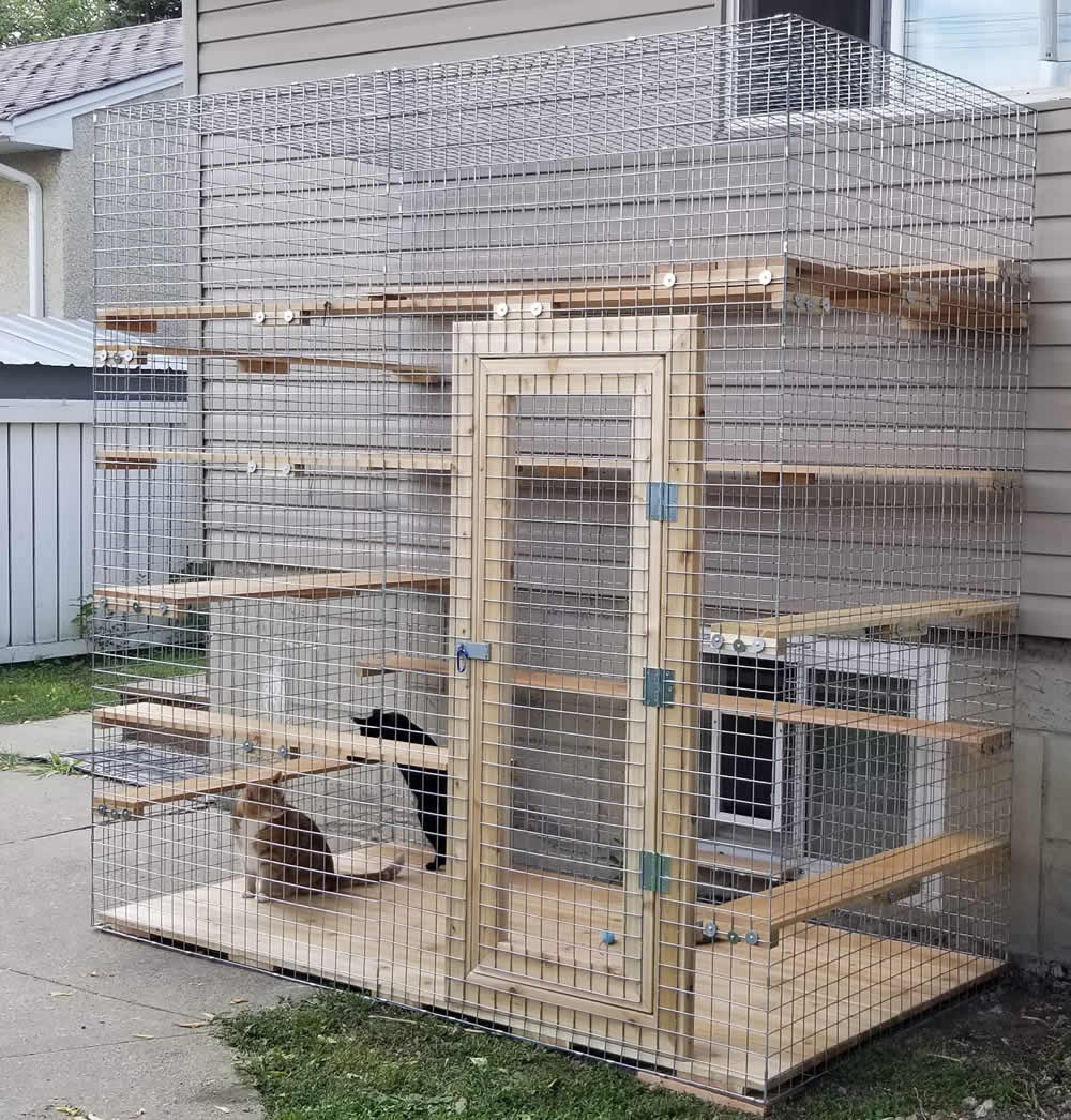How to build a squirrel cage