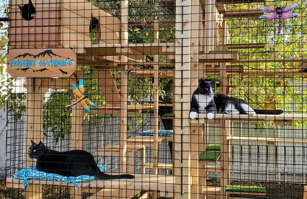 prefab cat enclosures